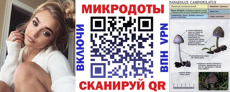 Галлюциногенные грибы прущие грибы  Купить  Павловский Посад 
